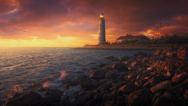 Lighthouse rocky shore sunset bird free wallpaper - medium preview image