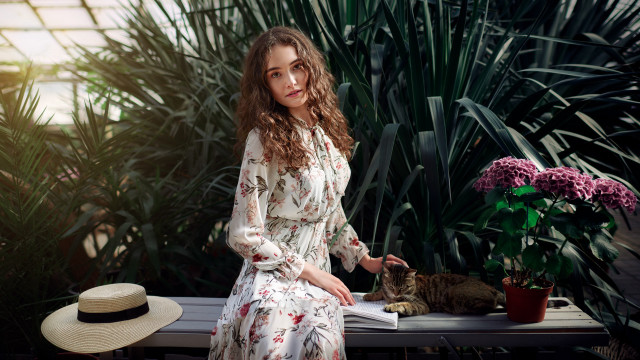 Woman bench cat hat plant free wallpaper - medium preview image
