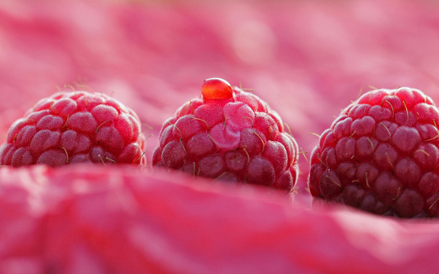 Three raspberries pink cloth red free wallpaper - medium preview image