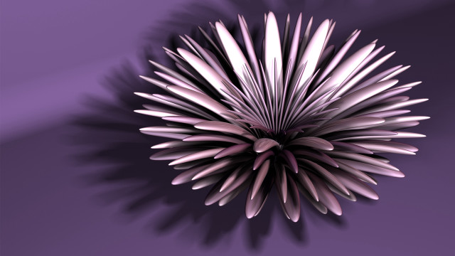 Purple flower shadow wall purple free wallpaper - medium preview image