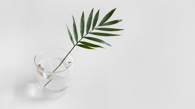 Green leaf glass water shadow free wallpaper - medium preview image