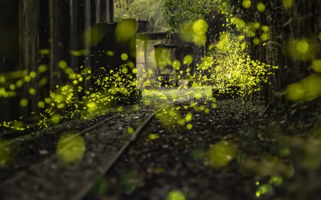 Train leaves building light bokeh free wallpaper - medium preview image