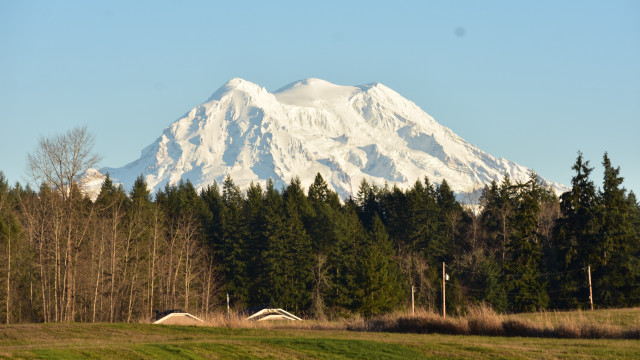 Mountain snow peak trees field free wallpaper - medium preview image