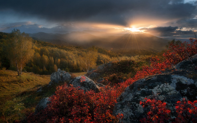 Sunset mountain valley autumn leaves free wallpaper - medium preview image