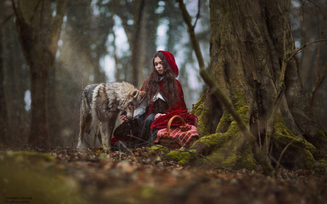 Woman red cloak wolf forest free wallpaper - medium preview image