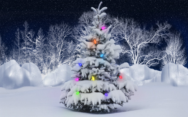 Christmas tree snow lights winter free wallpaper - medium preview image