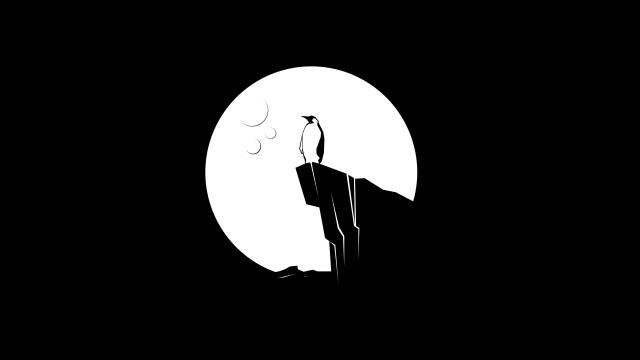 Black white cliff person bird free wallpaper - medium preview image
