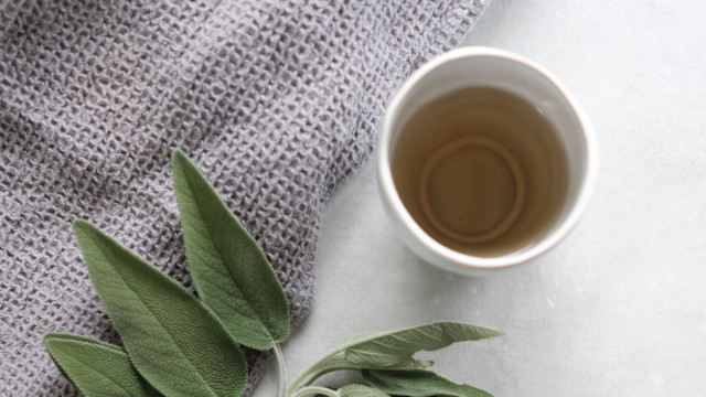 Tea leaf table spoon plant free wallpaper - medium preview image