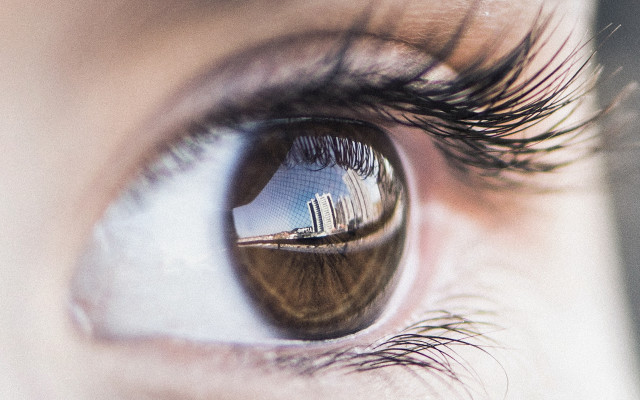 Eye building reflection macro tree free wallpaper - medium preview image