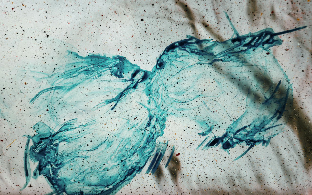 Birds ink paper blood splatter free wallpaper - medium preview image