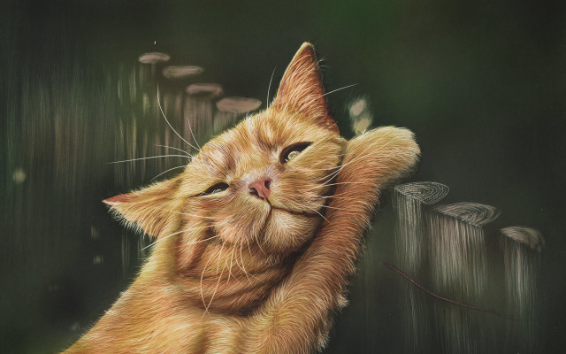 Cat reaching fencepost paw looking free wallpaper - medium preview image