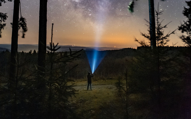 Forest flashlight starry sky night free wallpaper - medium preview image