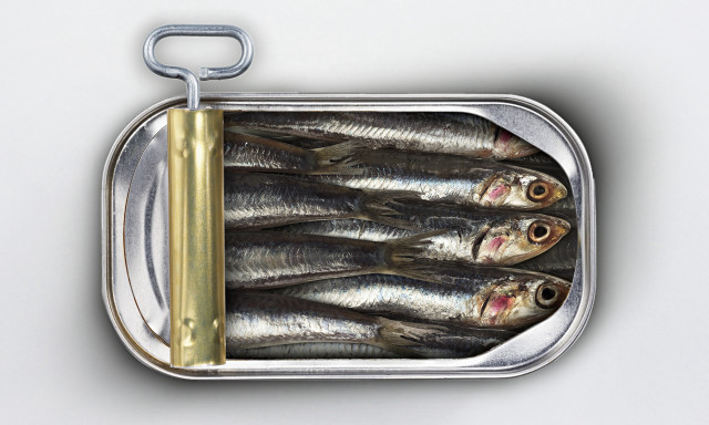 Sardines yellow handle white background free wallpaper - medium preview image