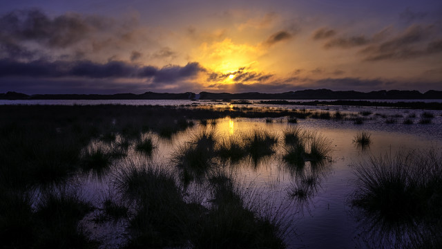 Sunset marsh water island cityscape free wallpaper - medium preview image