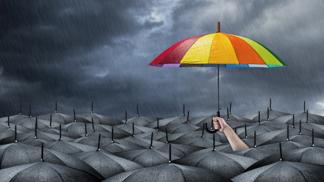 Colorful umbrella group rain black free wallpaper - medium preview image
