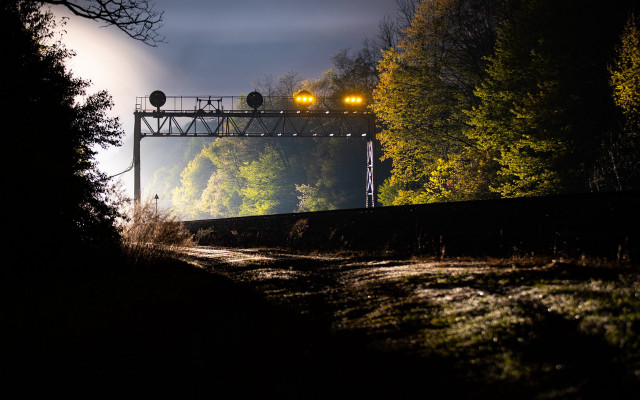 Train night lights trees city free wallpaper - medium preview image