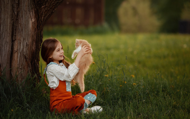 Little girl kitten tree field free wallpaper - medium preview image