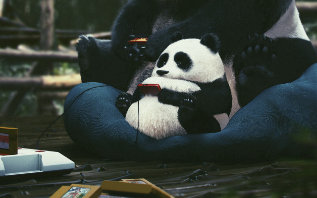 Panda sitting pillow electronic device free wallpaper - medium preview image