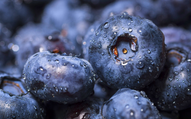 Blueberries water drops macro bokeh free wallpaper - medium preview image