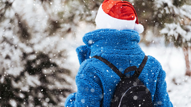 Snowy astronaut christmas pine night free wallpaper - medium preview image