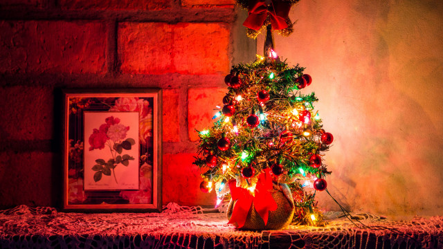 Christmas tree lights brick wall free wallpaper - medium preview image