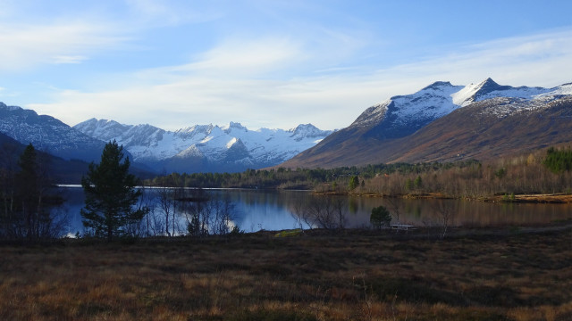 Mountain lake snow capped trees free wallpaper - medium preview image