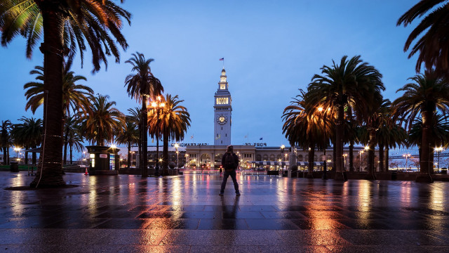 Clock tower night palm trees free wallpaper - medium preview image