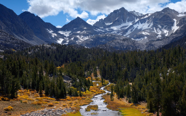 Lush green forest river mountain free wallpaper - medium preview image