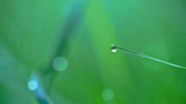 Water drop leaf 3d render free wallpaper - medium preview image