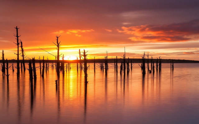 Sunset lake dead trees clouds free wallpaper - medium preview image