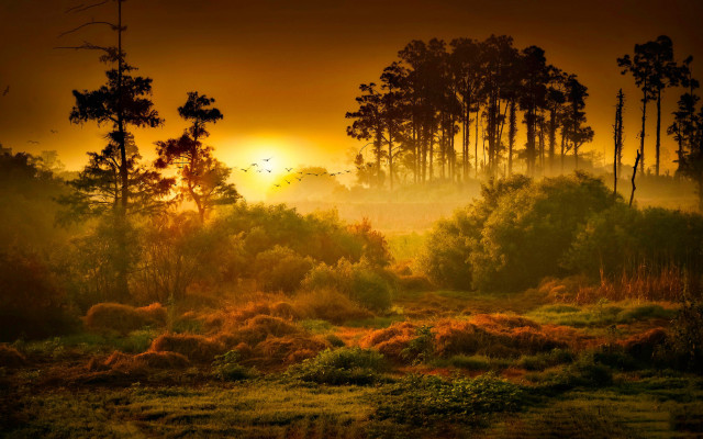 Autumn landscape sunset fog trees free wallpaper - medium preview image