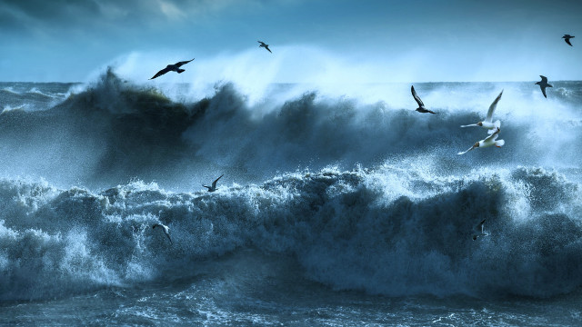 Birds wave ocean mountain night free wallpaper - medium preview image