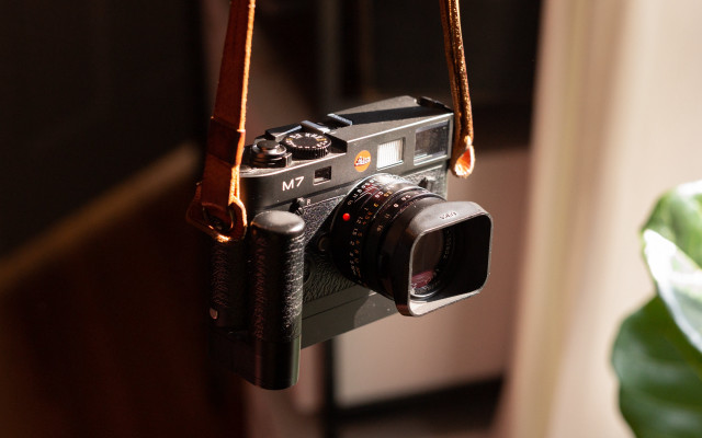 Camera hanging wall plant depthfield free wallpaper - medium preview image