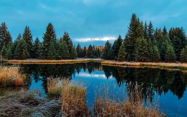 Lake pine trees grass blue free wallpaper - medium preview image
