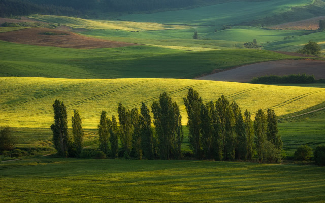 Green field trees hills clouds free wallpaper - medium preview image