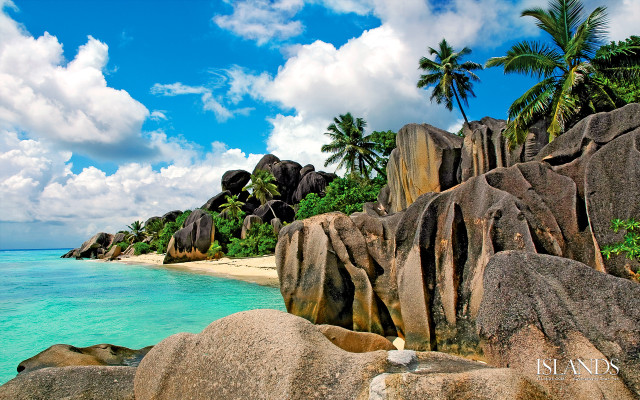 Bascove beach rocks palm trees free wallpaper - medium preview image