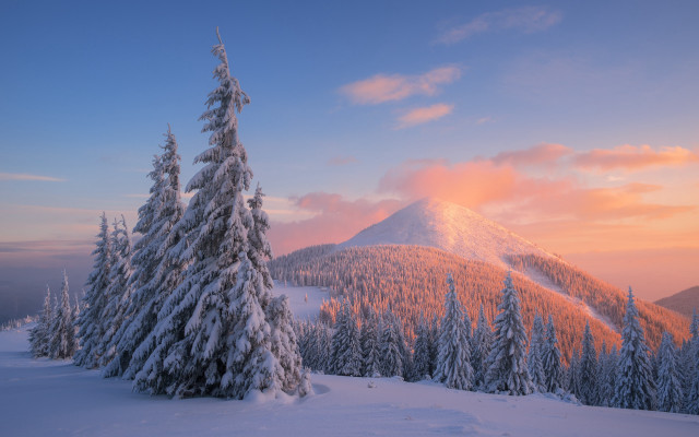 Snowy mountain trees pink sky #2 free wallpaper - medium preview image