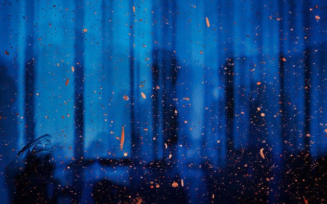 Window rain drops black cat free wallpaper - medium preview image