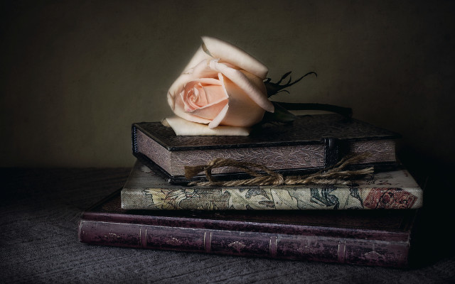 Rose stack books table bag free wallpaper - medium preview image