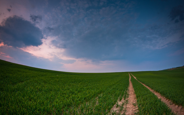 Dirt road green field cloudy #9 free wallpaper - medium preview image