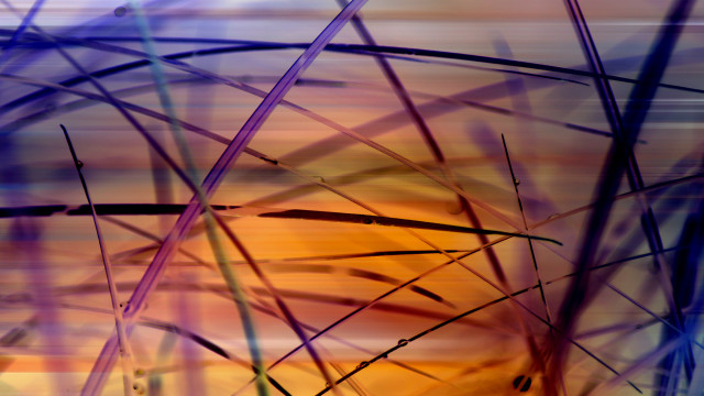 Blurry grass sunset abstract painting free wallpaper - medium preview image