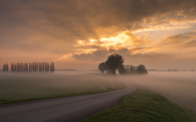 Foggy road sunset trees volumetric free wallpaper - medium preview image