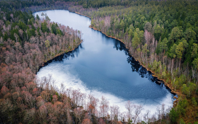 Frozen lake forest ice nature free wallpaper - medium preview image