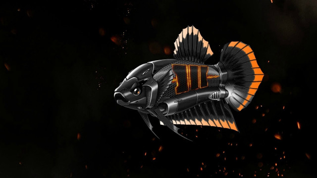 Orange striped fish glowing armor free wallpaper - medium preview image