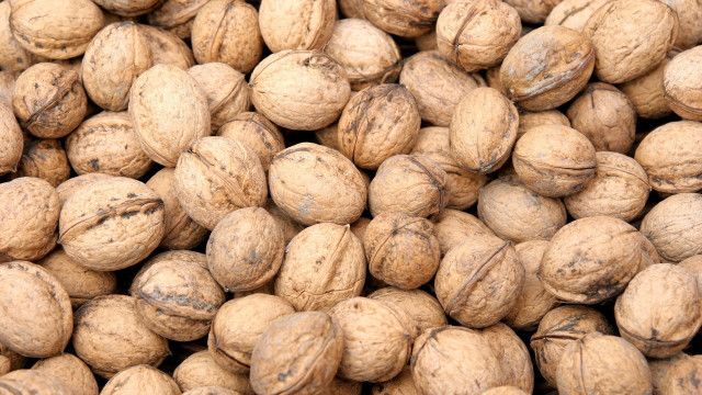 Nuts brown spots brown background free wallpaper - medium preview image
