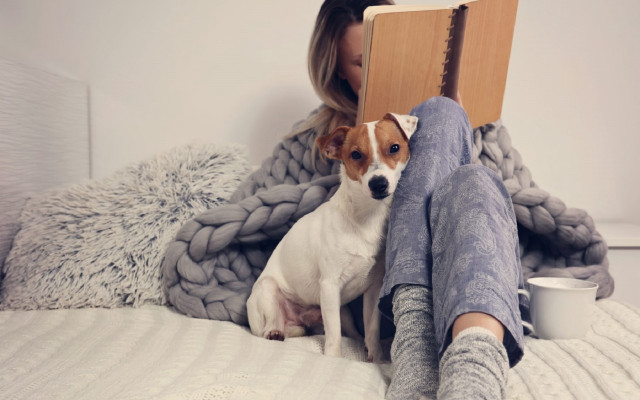 Woman reading book dog lap free wallpaper - medium preview image