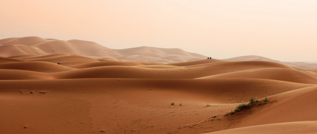 Desert people sand dunes trees free wallpaper - medium preview image
