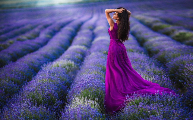 Purple dress lavender field flowers free wallpaper - medium preview image