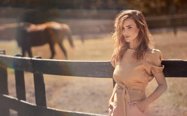 Woman fence horses sunset field free wallpaper - medium preview image