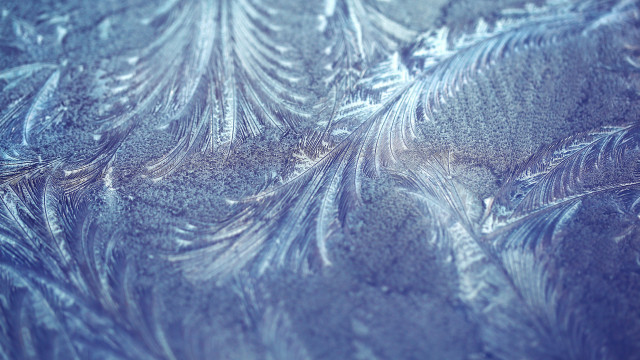 Frosty branch macro blue background free wallpaper - medium preview image
